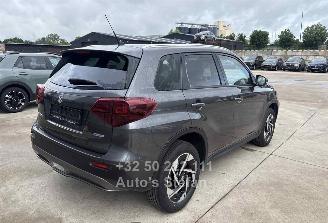 Suzuki Vitara  picture 6