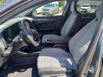 Renault Scenic E-TECH picture 9