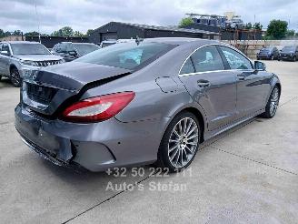 Mercedes CLS 220 BLUETEC picture 6