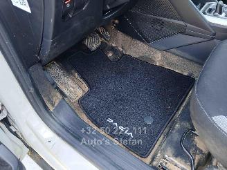 Dacia Duster JOURNEY picture 19