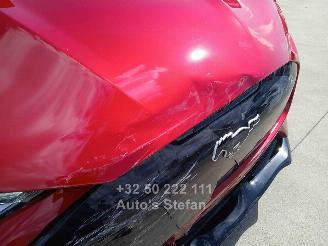 Ford Mustang MACH-E  600PK picture 29