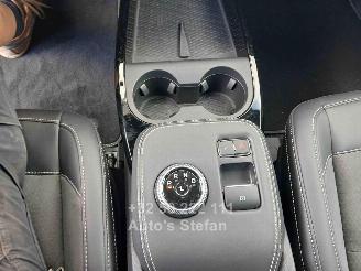 Ford Mustang MACH-E  600PK picture 8