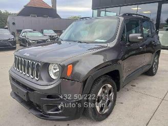 Jeep Renegade LONGITUDE picture 3
