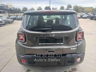 Jeep Renegade LONGITUDE picture 5