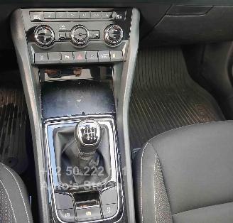 Skoda Karoq AMBITION picture 18