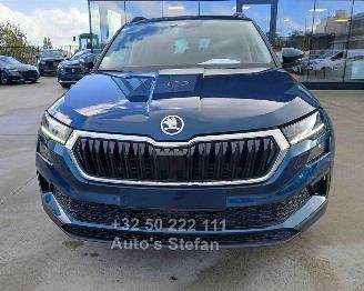 Skoda Karoq AMBITION picture 2