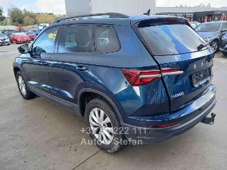 Skoda Karoq AMBITION picture 4