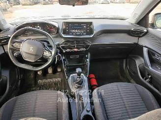 Peugeot 2008 ACTIVE picture 24
