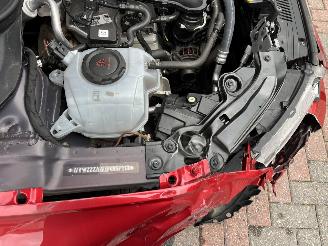 Volkswagen Polo 1.0 BENZINE 95,PS  DSG picture 9