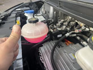 BYD Dolphin ELEKTRO LEDER-CAMERA-KLIMATRONIK picture 15