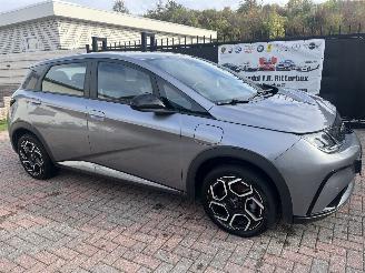 BYD Dolphin BEV 65kWh Design picture 6