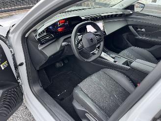 Peugeot 308 ELEKTRO  -- ALLURE picture 21