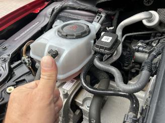 Volkswagen Polo 1,0 TSI BENZINE 95,PS LIVE picture 8