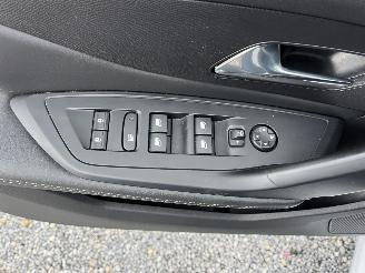 Peugeot 308 ELEKTRO -- ALLURE picture 22