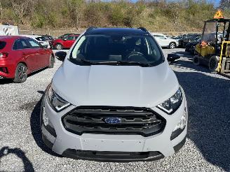 Auto incidentate Ford EcoSport Active Navi,Winterpaket,Kamera 2022/4