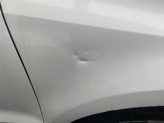 Volkswagen Polo 1.4-16V DSG Comfortline picture 3