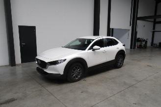Avarii autoturisme Mazda CX-30 SUV 2020/6