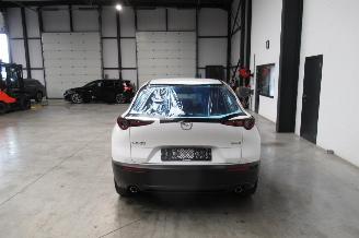 Mazda CX-30 SUV picture 4