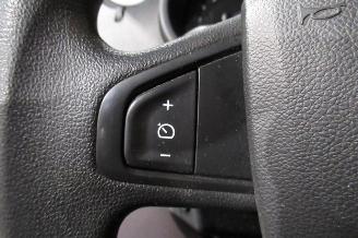 Renault Kangoo CAMIONETTE picture 20