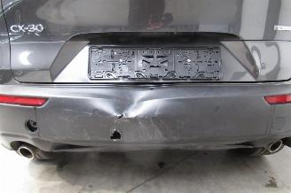 Mazda CX-30 SUV picture 23