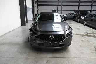 Mazda CX-30 SUV picture 7