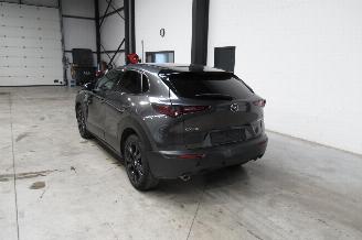 Mazda CX-30 SUV picture 3