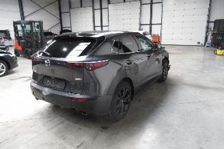 Mazda CX-30 SUV picture 5