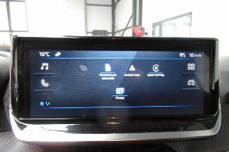 Peugeot 208 SEDAN picture 25