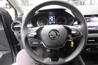 Skoda Fabia ACTIVE picture 19