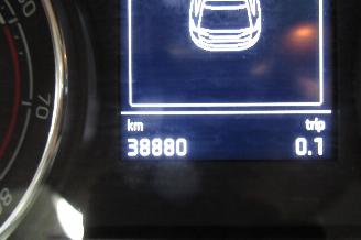 Skoda Fabia ACTIVE picture 18