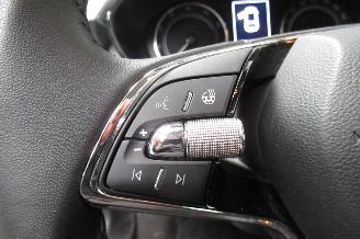 Skoda Fabia ACTIVE picture 20