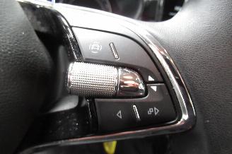 Skoda Fabia ACTIVE picture 21
