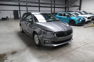 Skoda Fabia ACTIVE picture 6
