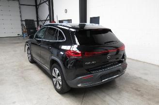 Mercedes EQA 250 picture 3