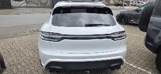Porsche Macan GTS picture 11