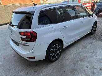 Citroën C4 Citroen c4 1.5d 2019 7 zit picture 5