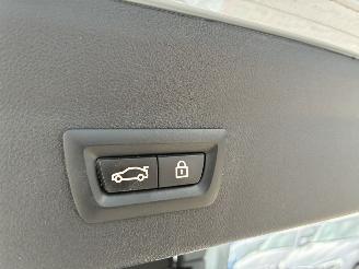 BMW X4 BMW X4 xDrive20d M 2021 picture 11