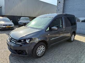 Schadeauto Volkswagen Caddy VW CADDY 2.0TDI 2019 2019/10