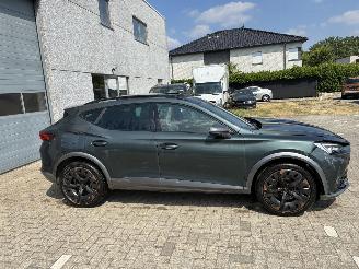 Cupra Formentor CUPRA FORMENTOR E-HYBRID 2021 picture 14