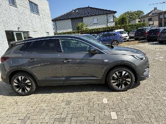 Opel Grandland OPEL GRANDLAND X 1.2I 2019 picture 10