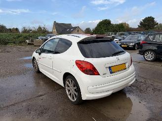 Peugeot 207 1.6-16V T Le Mans picture 9