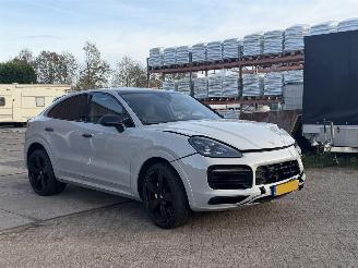Porsche Cayenne E-HYBRID SPORT picture 11