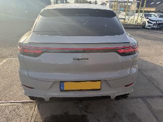 Porsche Cayenne E-HYBRID SPORT picture 15