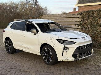 Schadeauto Cupra Terramar 1.5 eTSI 110kw 2025/1