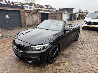 BMW 2-serie 218i M PAKKET CABRIO picture 24