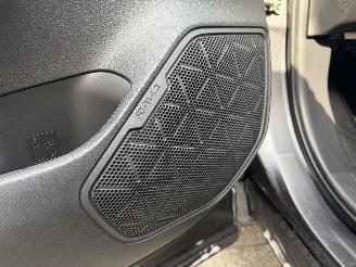 Toyota Rav-4 2.5 Hybrid AWD Executive picture 17