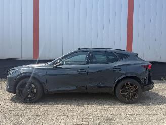 Cupra Formentor 2.0 VZ 245 KW AKRA  PANO SFEER picture 27