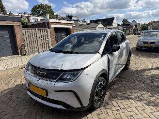 Avarii autoturisme BYD Dolphin Comfort 60.4 kWh NAP 2024/1