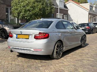 BMW 2-serie 220i Coupe Automaat picture 9