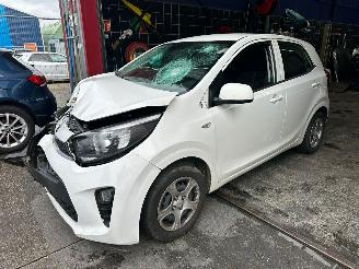 damaged passenger cars Kia Picanto  2019/3